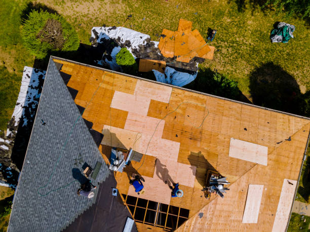 Best Storm Damage Roof Repair  in Kingston, NJ