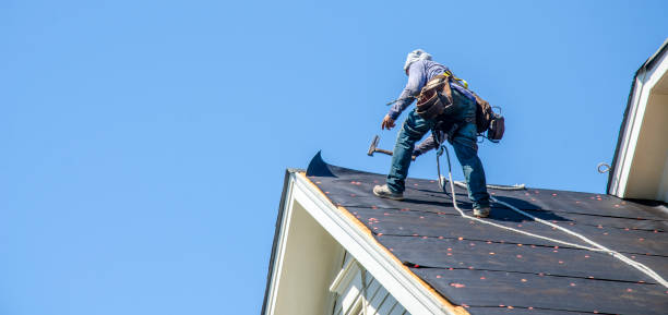 Best Roofing Contractor Near Me  in Kingston, NJ